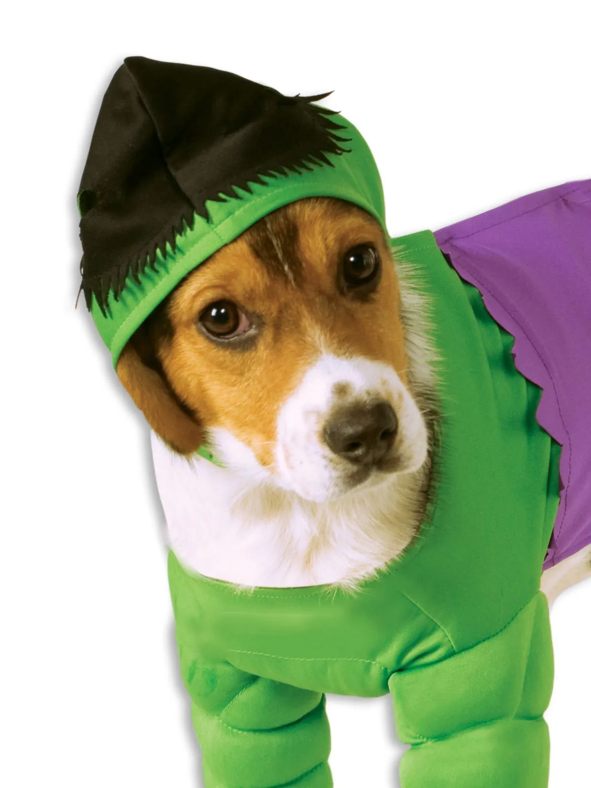 Hulk Pet Costume - Marvel Avengers