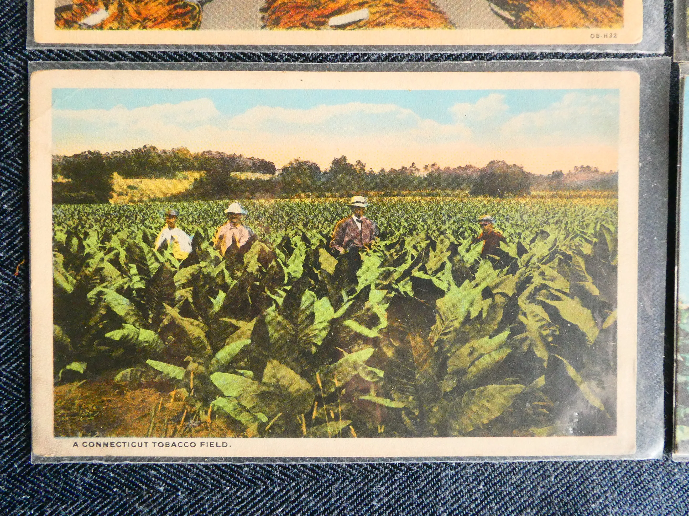 Vintage Tobacco Postcards, c. 1920-1970s - Lot of 4 Cards