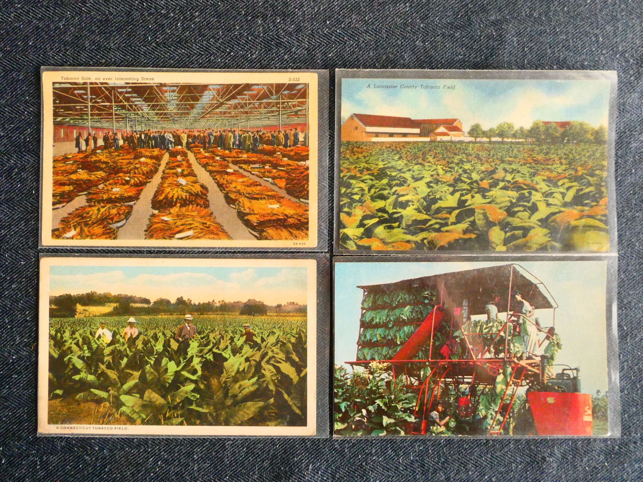 Vintage Tobacco Postcards, c. 1920-1970s - Lot of 4 Cards