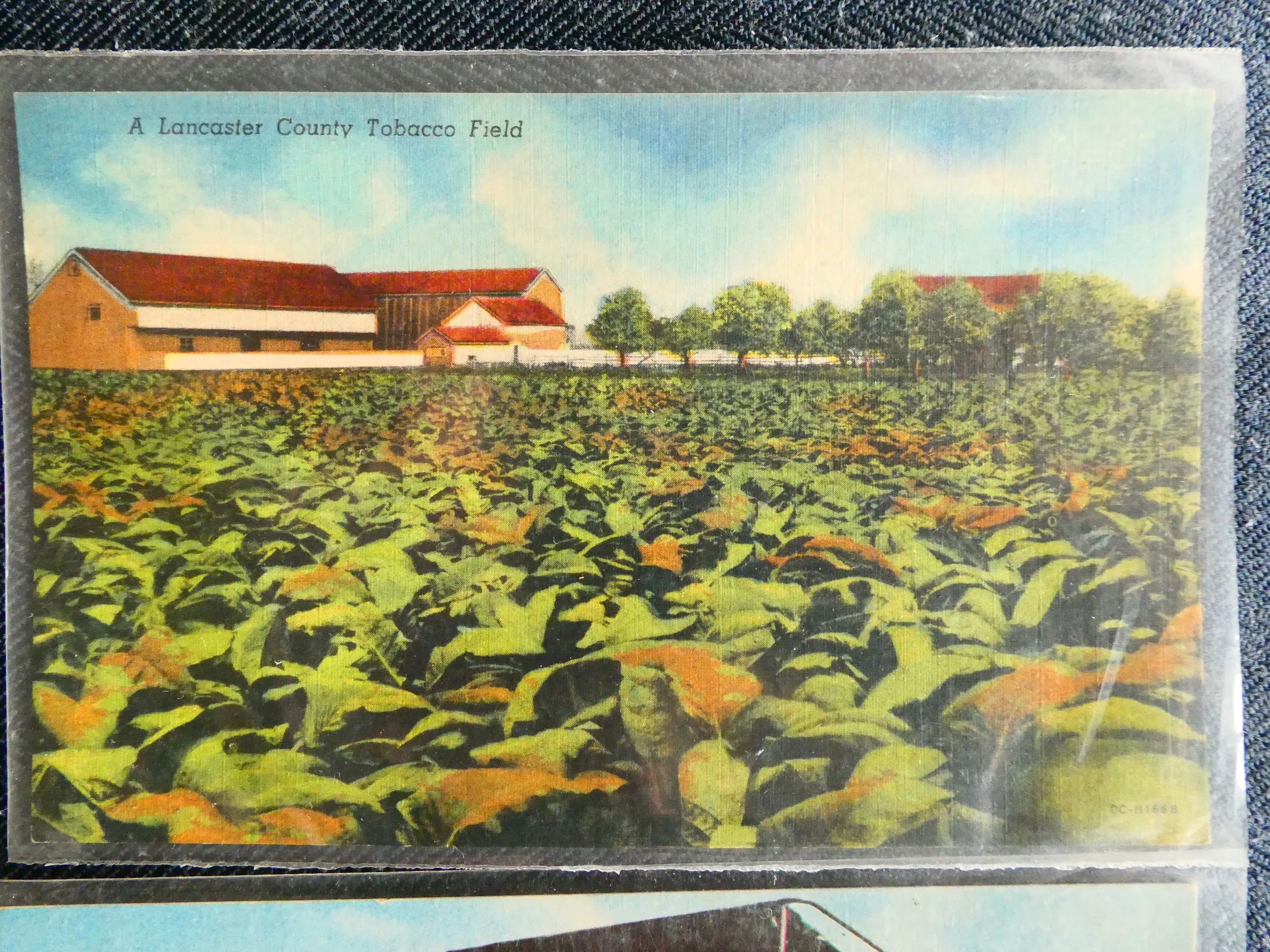 Vintage Tobacco Postcards, c. 1920-1970s - Lot of 4 Cards