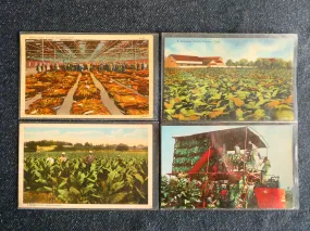 Vintage Tobacco Postcards, c. 1920-1970s - Lot of 4 Cards